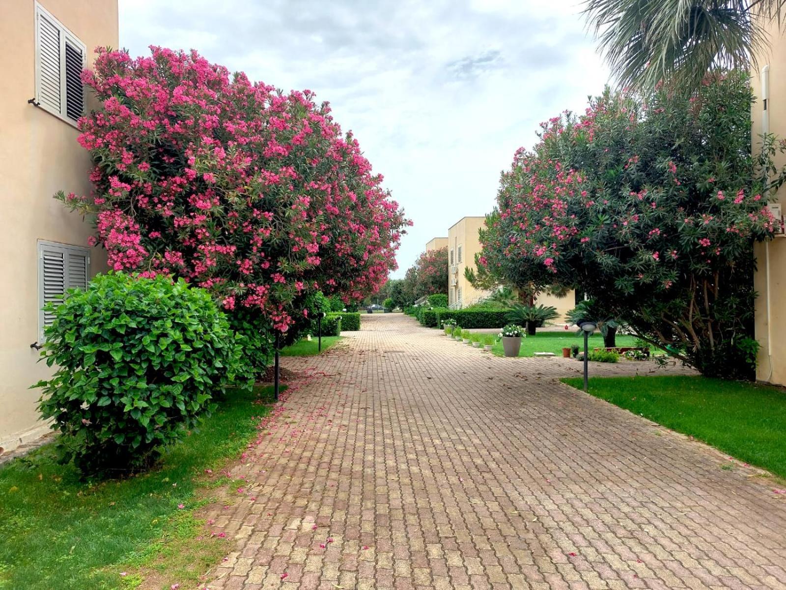 Giallomare Aparthotel Marzamemi Exterior photo